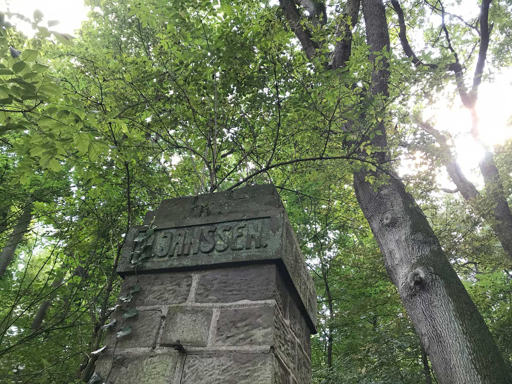 Konzert im Jansen Park